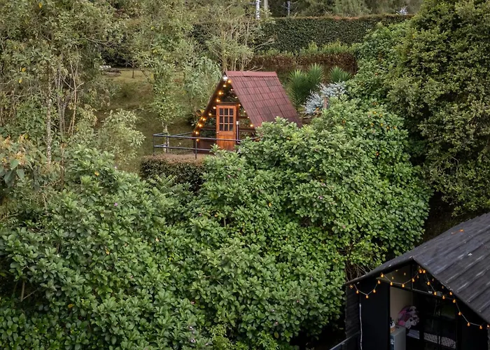 Chalets En Santa Elena En Medio Del Bosque