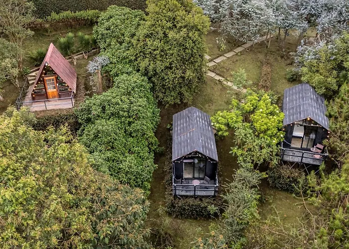 Chalets En Santa Elena En Medio Del Bosque